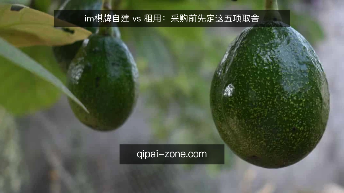 im棋牌自建 vs 租用:采购前先定这五项取舍