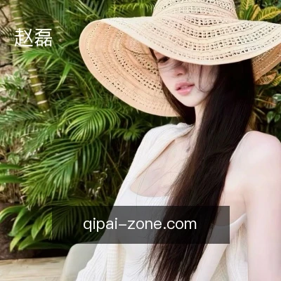 赵磊